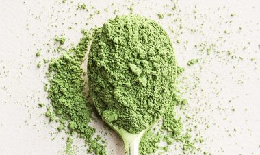 Delicious dishes from Matcha