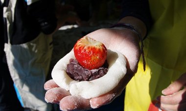 Cách làm Ichigo Daifuku – Bánh Đại phúc dâu may mắn