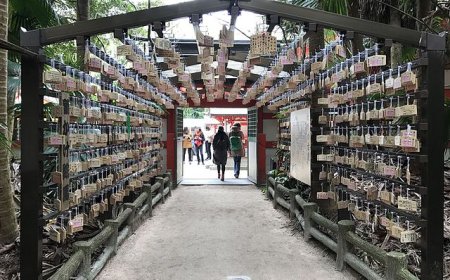 Hòn đảo của loài mèo – Đảo Ashima