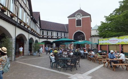 Explore the Japanese city of Kobe
