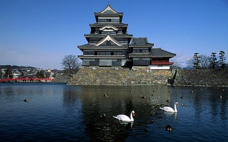Autumn in Japan with "red leaves and stronghold"