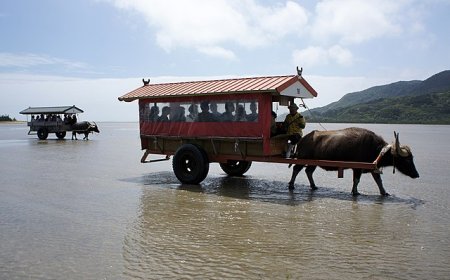 10 most charming cities in the country "Sunrise"