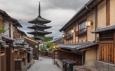 日本の医療保険の種類