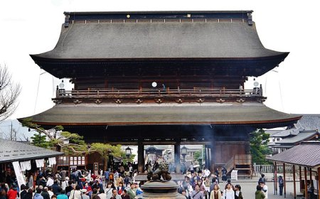 Discover the beauty of autumn in Nagano and Niigata Japan