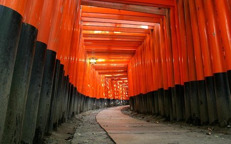 日本で訪れるべき稲荷神社6選