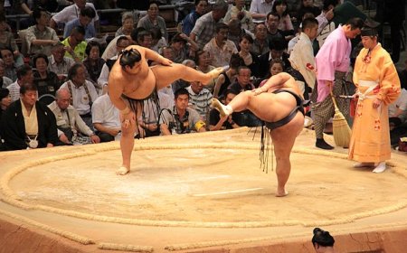 Japanese sumo – things you may not know