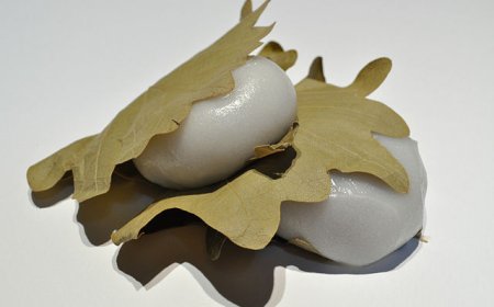 日本で最も人気のある餅の種類