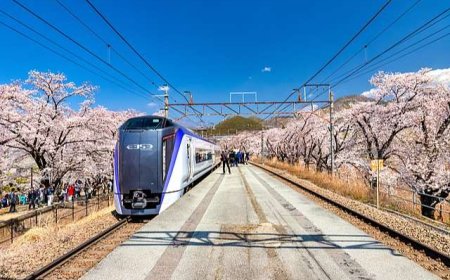 Du lịch Nhật Bản mùa nào, tháng mấy đẹp nhất?