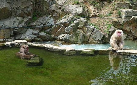 Onsen and "Valley of Death"