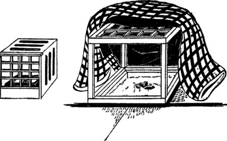 Kotatsu – cách giữ ấm mùa đông ở Nhật Bản