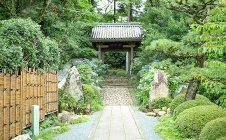 Lưu ý khi chuyển nhà của du học sinh tại Nhật