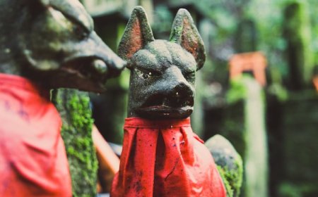 Inari Fox - Sacred Animal in Japan