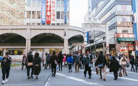 Pedestrian Regulations in Japan