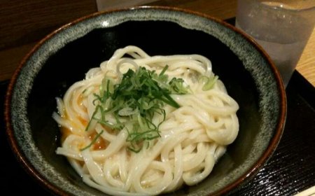 3 famous Udon dishes in Japan
