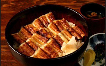 Must-try delicacies when coming to Hiroshima