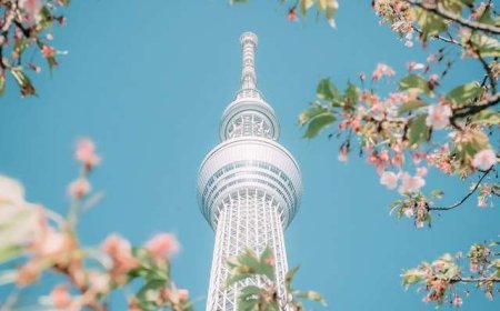 The reason you should visit the skytree tower when you come to Tokyo