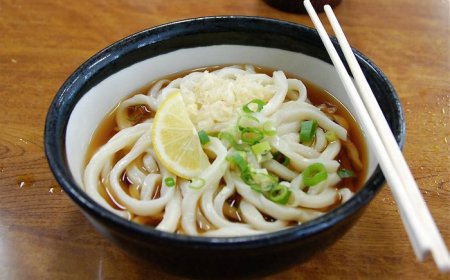 Discover the typical cuisine of Kagawa prefecture