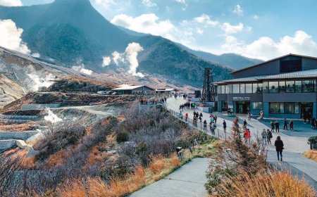 Unveiling the Natural Wonders of Japan: From Majestic Mountains to Serene Beaches