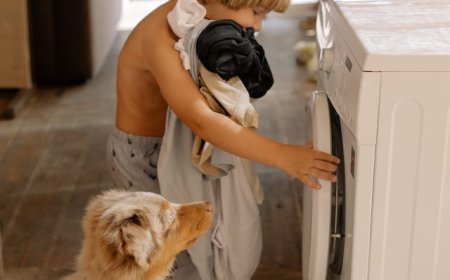 How to use coin laundry laundry service in Japan