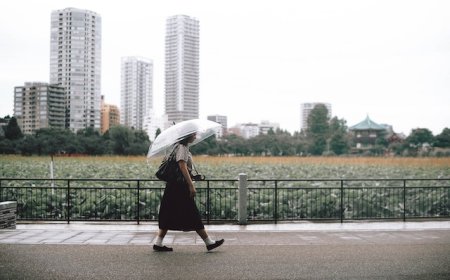 Japanese vocabulary: When talking about other people's families