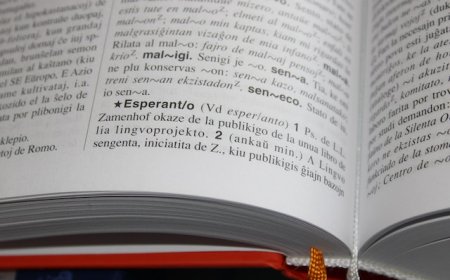 Học từ vựng tiếng Nhật thông dụng - Tuần 51