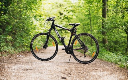 Discover bicycles and special rules in Japan