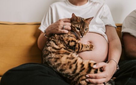 Japanese Vocabulary: The topic of Childbirth