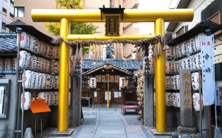 Discover 5 unique Torii gates in the land of Phu Tang