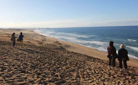 Top 10 tourist attractions in Japan in 2023