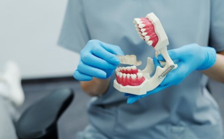 Unveiling the Cost of Dental Examinations in Japan