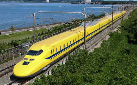 Lucky Encounter: The Yellow Bullet Train - Doctor Yellow