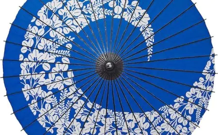 Wagasa Umbrella: Exploring the traditional Japanese
