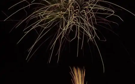 Hanabi - Japan's summer fireworks Festival