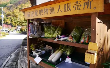Unmanned Shops in Japan: A Testament to Trust and Convenience