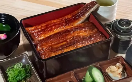 Eel - A Gourmet Delight in Japan