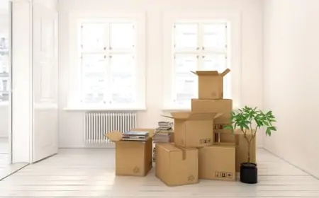 Japan's Flawless Moving Services