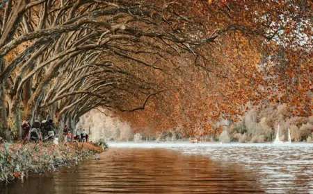 Navigating Japan environmental landscape