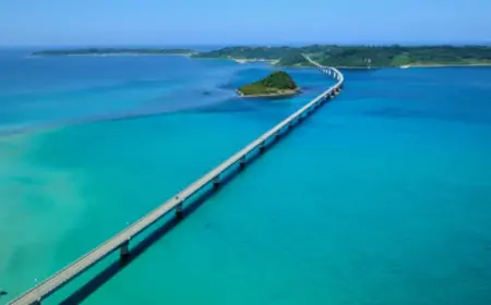 Scenic Drives in Japan