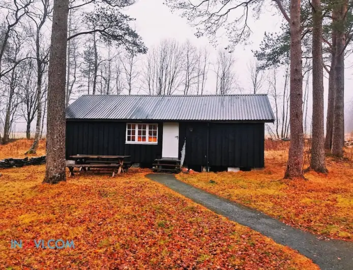 Thành lập Văn phòng Đại diện tại Nhật Bản: Quy trình và Thủ tục