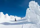 日本のスキー場の魅力