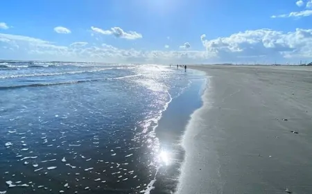 Kujukurihama Beach: A Hidden Gem on Coastline