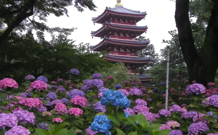 本土寺:松戸市の隠された花の宝石