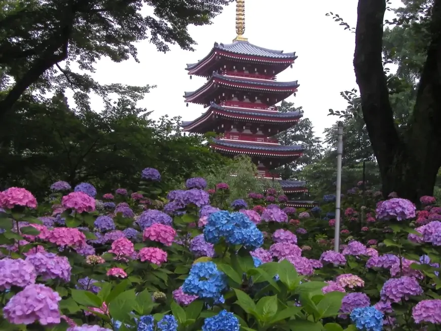 Đền Hondoji: Một viên ngọc hoa ở Matsudo City