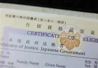 The Certificate of Eligibility (COE)