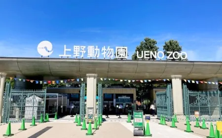 Exploring Ueno Zoo