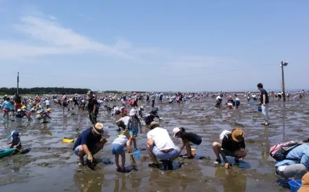 Experience Clam Digging at Futtsu Beach
