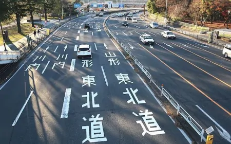 Driving in Japan and driving places in Tokyo