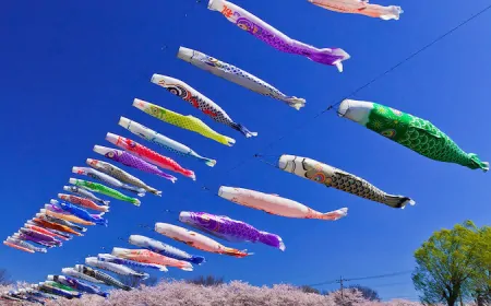 Carp streamer