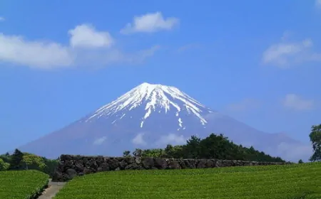 Mt. Fuji Rouson and manners measures