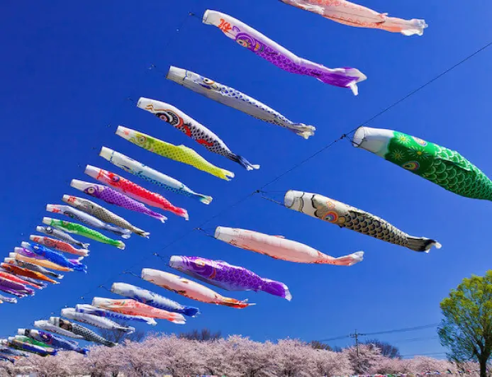 Carp streamer